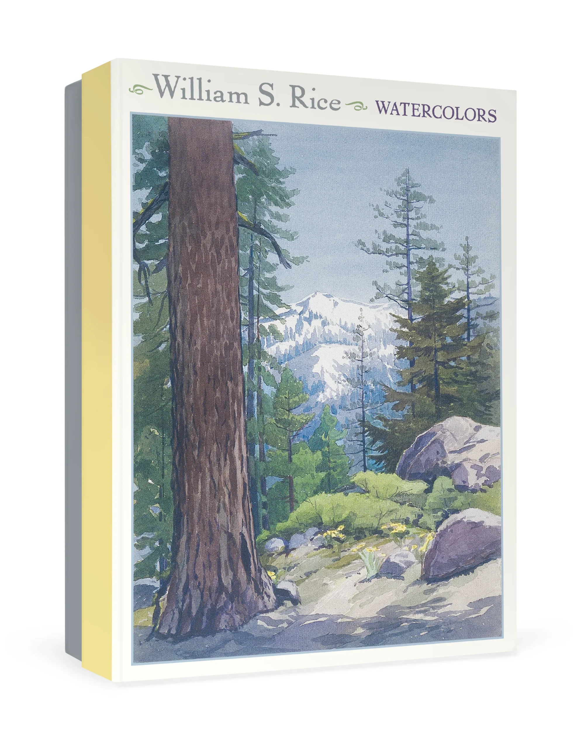 William S. Rice: Watercolors Boxed Notecard Assortment