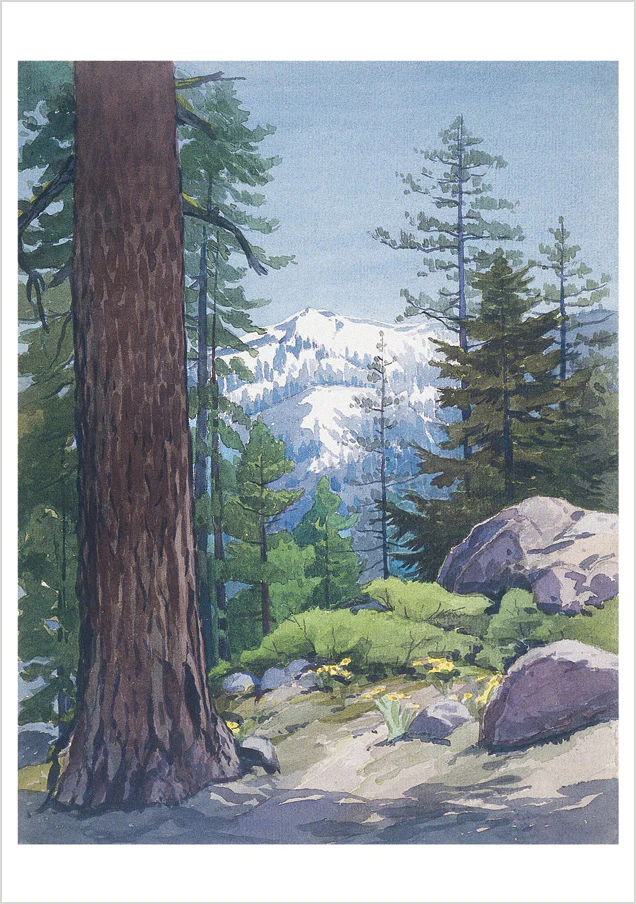 William S. Rice: Watercolors Boxed Notecard Assortment