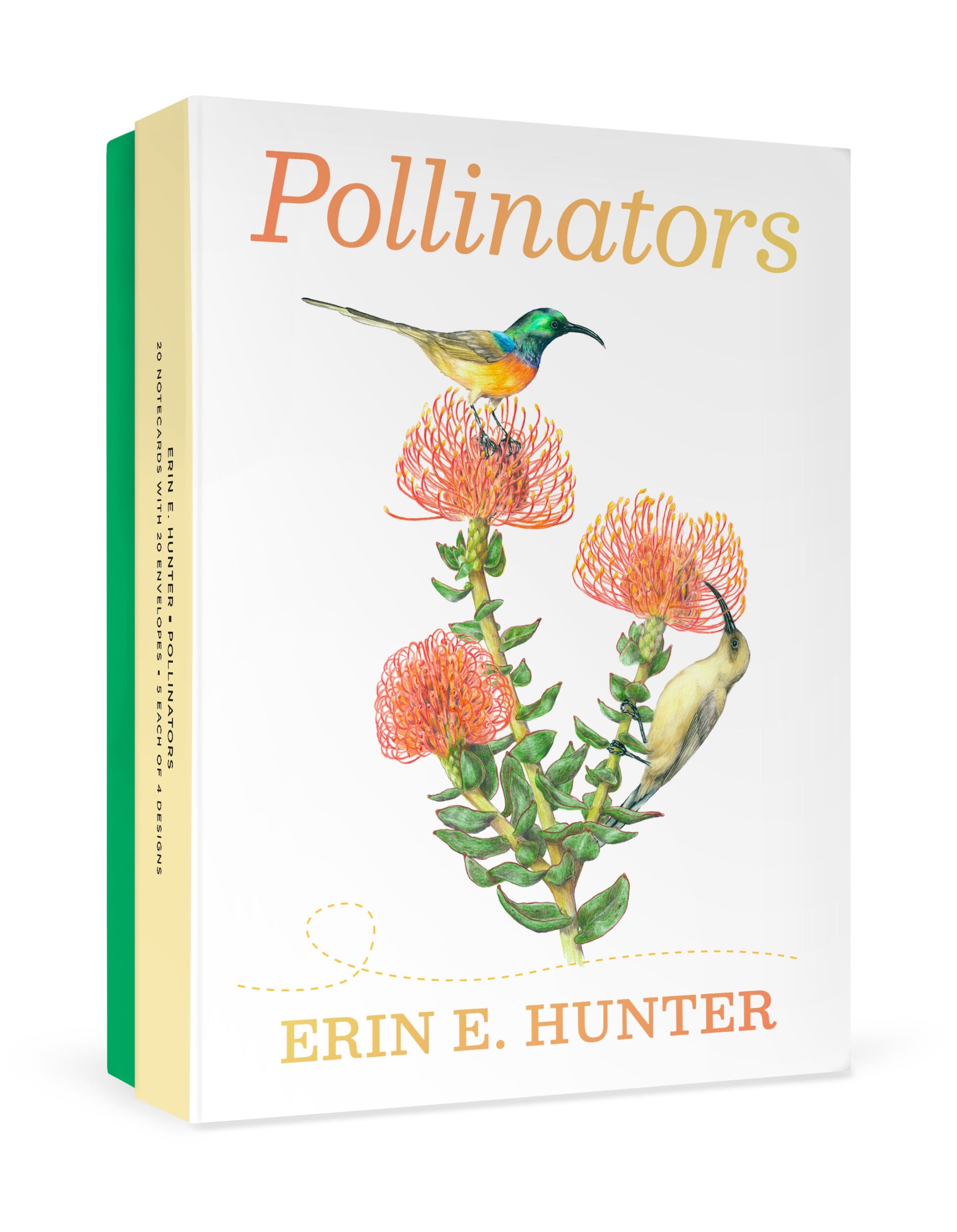 Erin E. Hunter: Pollinators Boxed Notecard Assortment