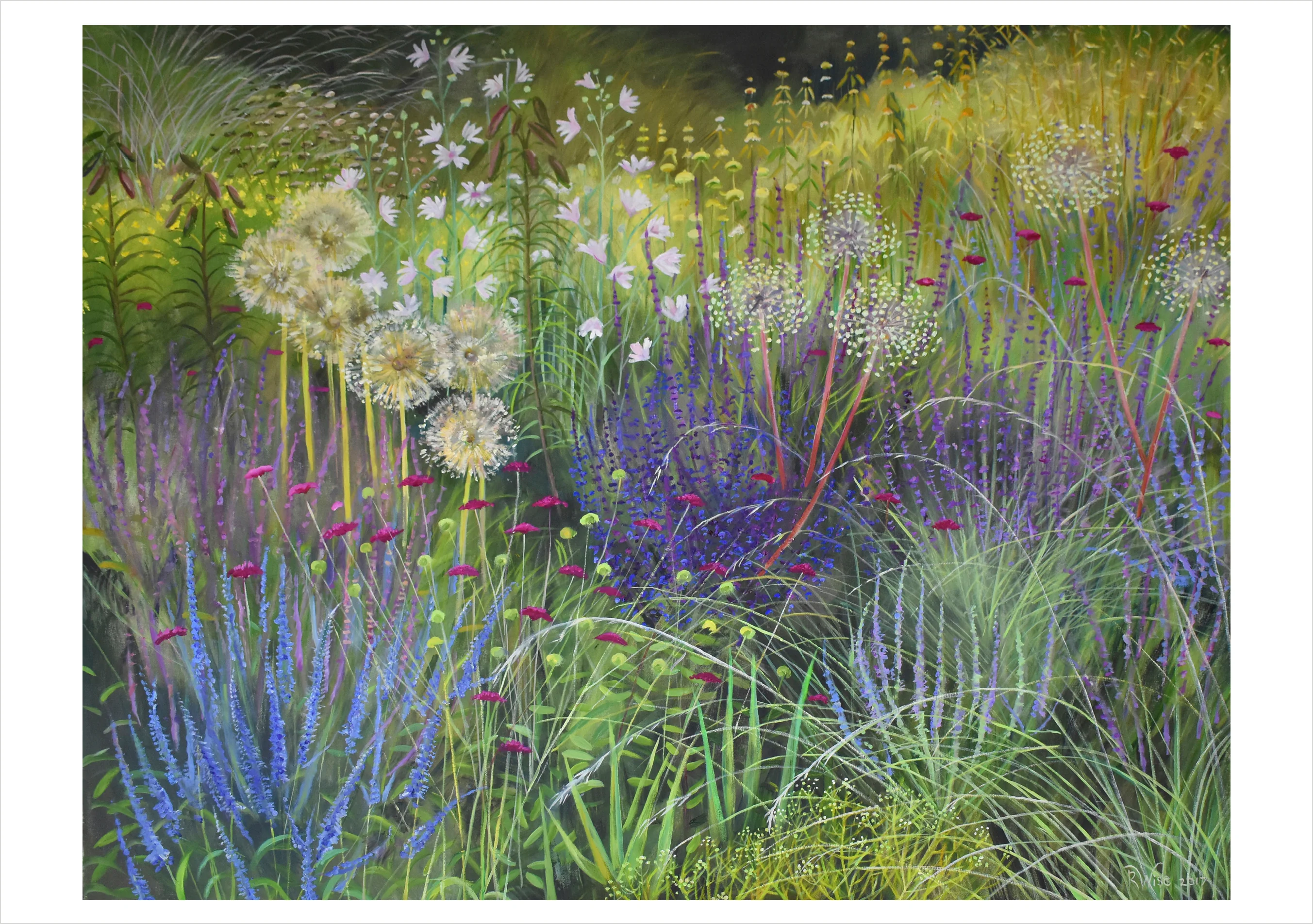 Rosalind Wise: Garden Borders Boxed Notecard Assortment