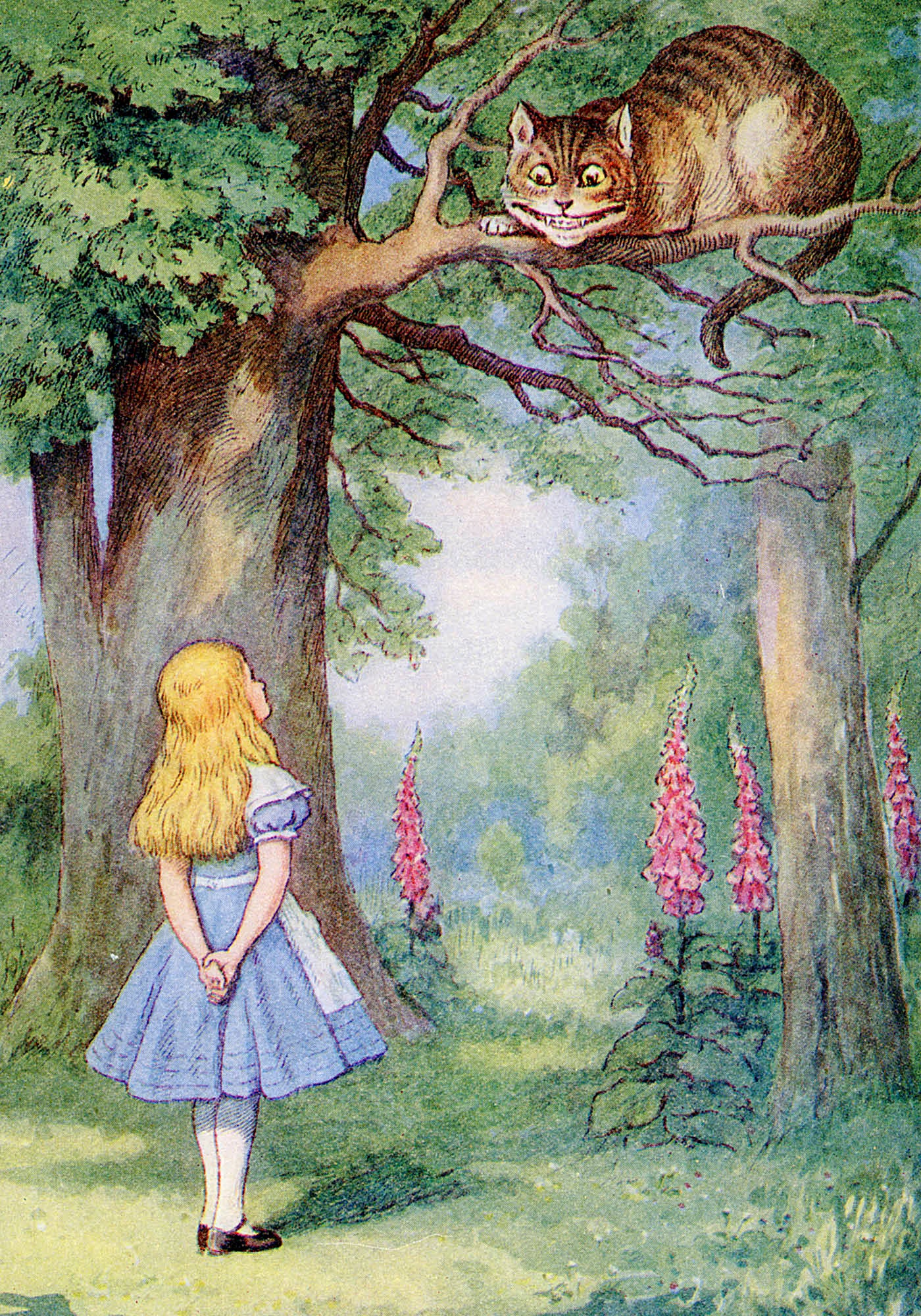 Sir John Tenniel: Alice and the Cheshire Cat Small Boxed Cards