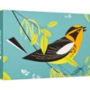 Charley Harper: Blackburnian Warbler Small Boxed Cards