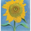 Georgia O'Keeffe: Sunflowers Notecard Folio