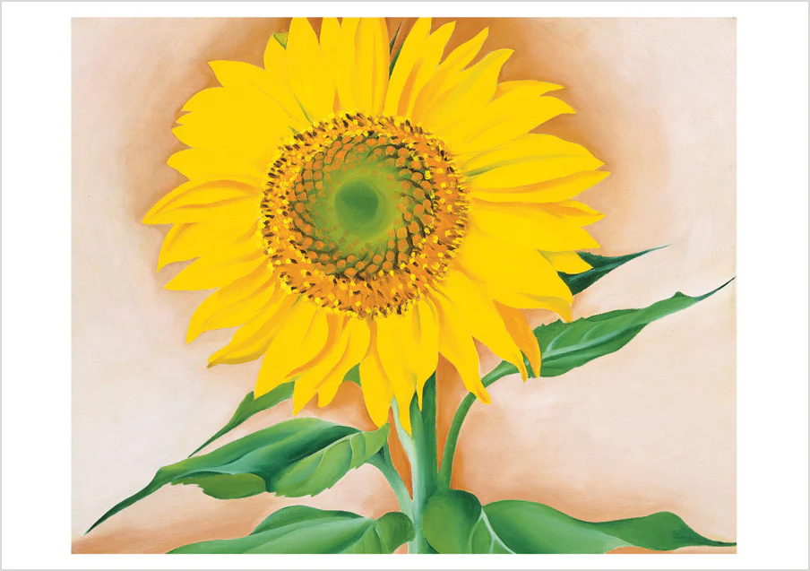 Georgia O'Keeffe: Sunflowers Notecard Folio