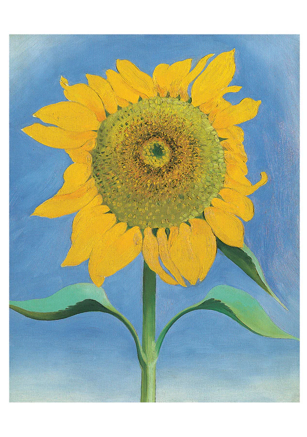 Georgia O'Keeffe: Sunflowers Notecard Folio