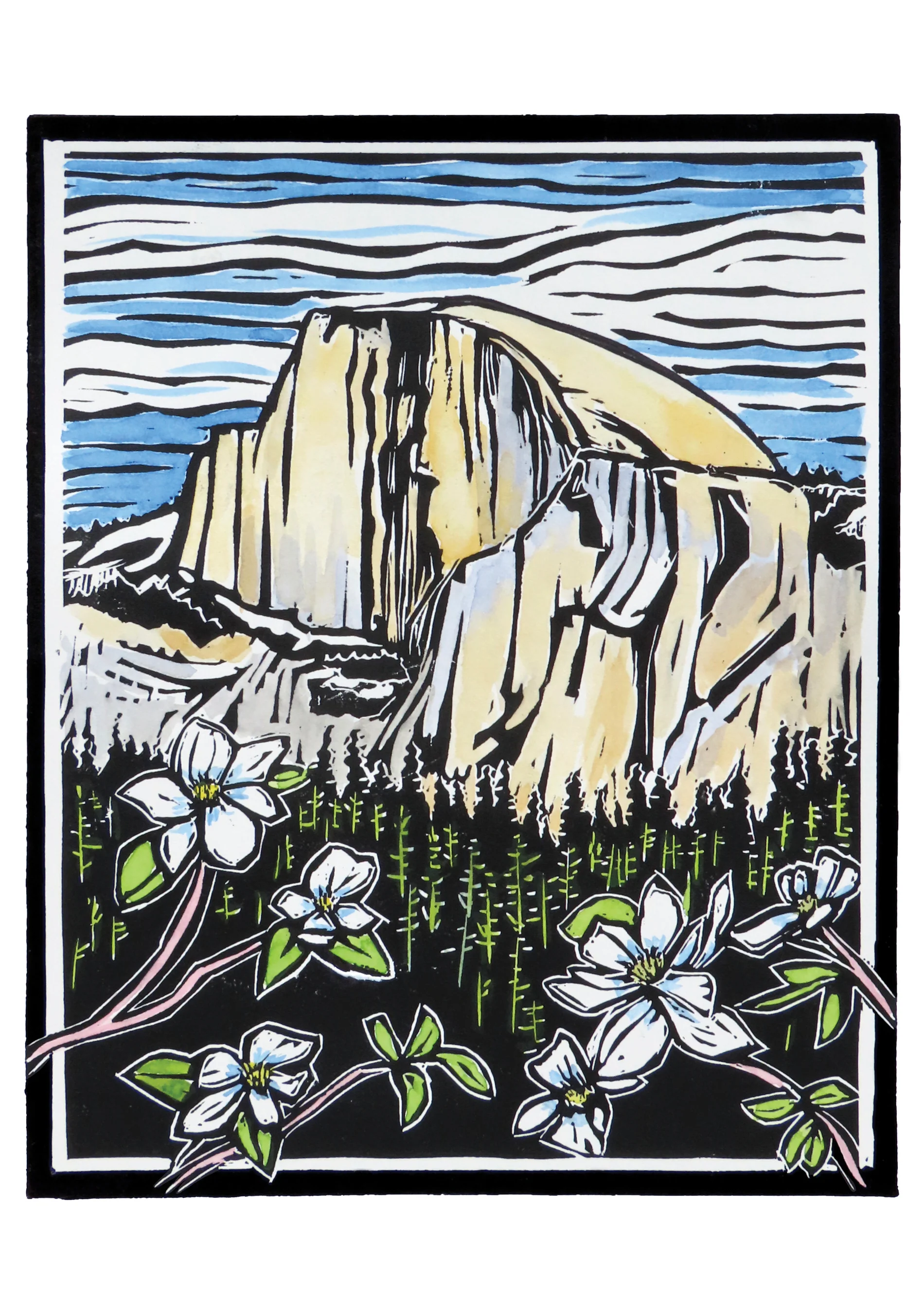 Molly Hashimoto: Wildflowers Boxed Notecard Assortment 3 Molly Hashimoto: Wildflowers Boxed Notecard Assortment