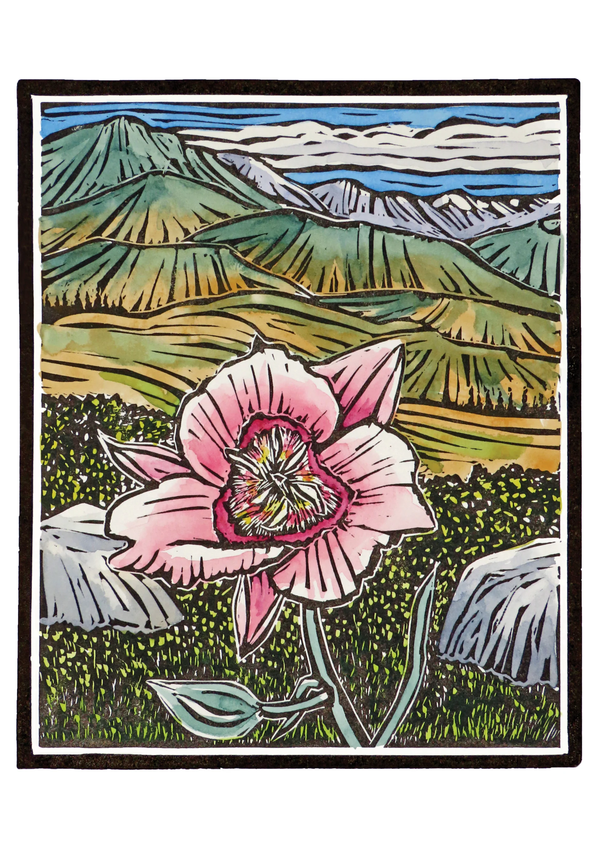 Molly Hashimoto: Wildflowers Boxed Notecard Assortment 5 Molly Hashimoto: Wildflowers Boxed Notecard Assortment