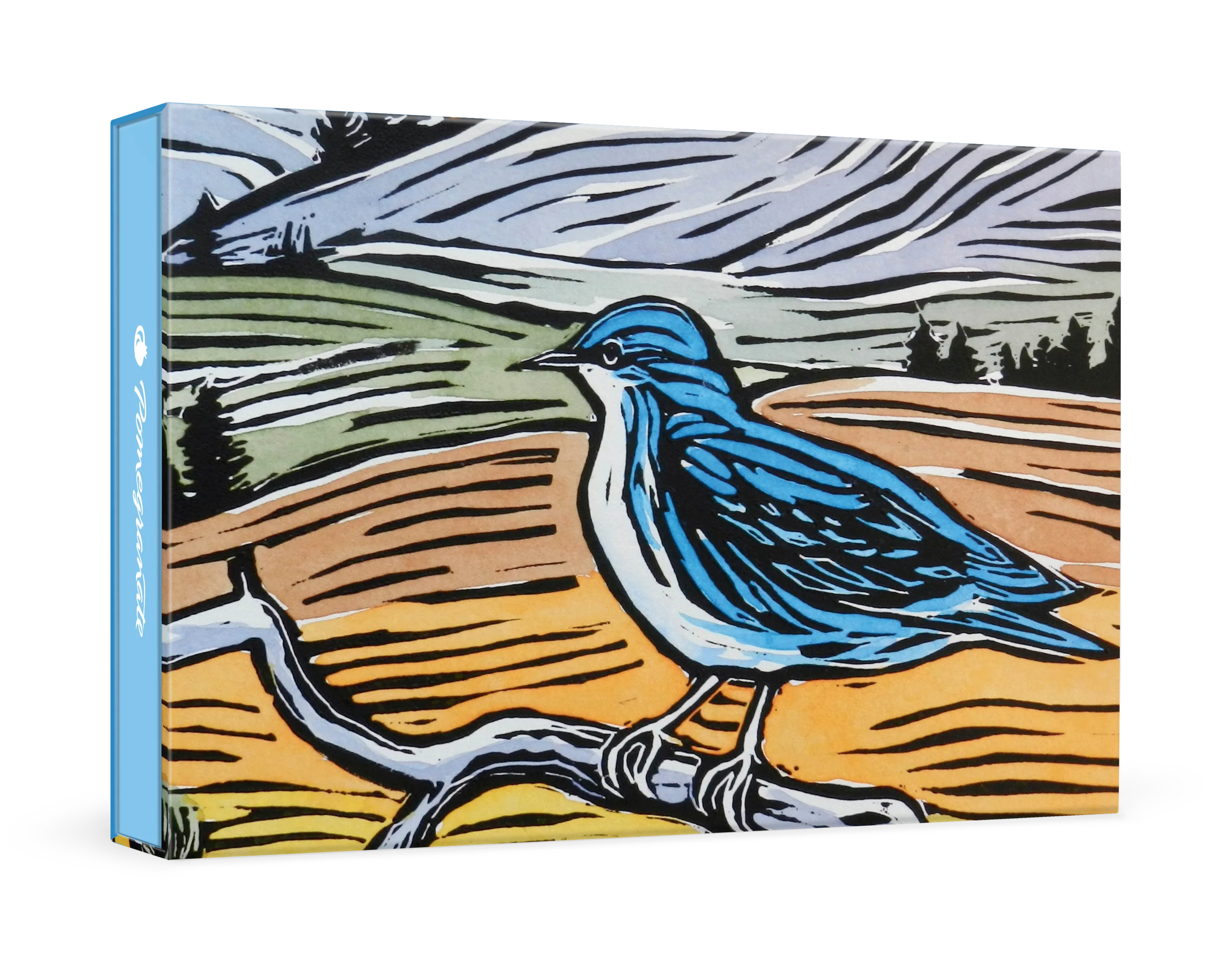 Molly Hashimoto: Mountain Bluebird Small Boxed Cards