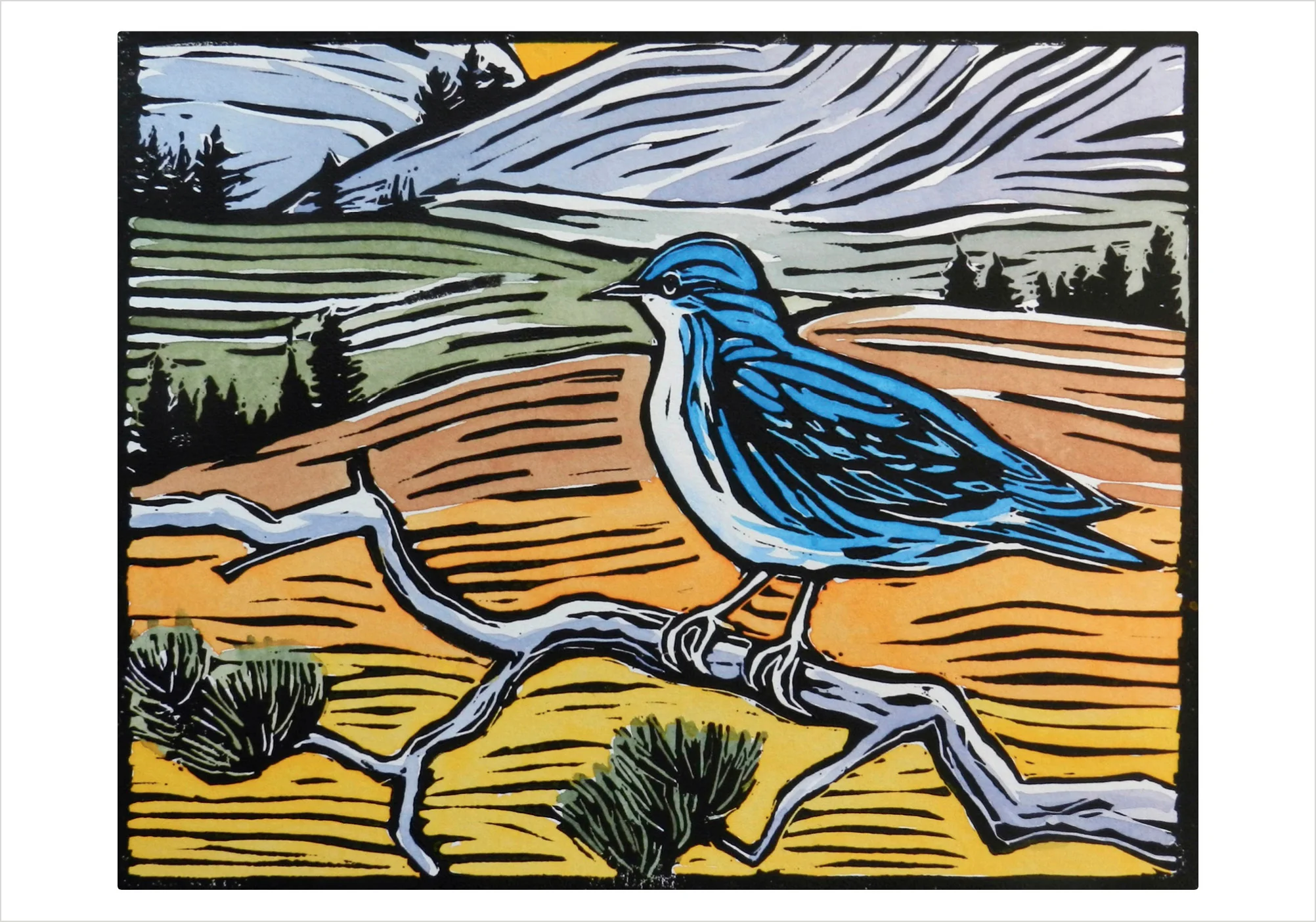 Molly Hashimoto: Mountain Bluebird Small Boxed Cards