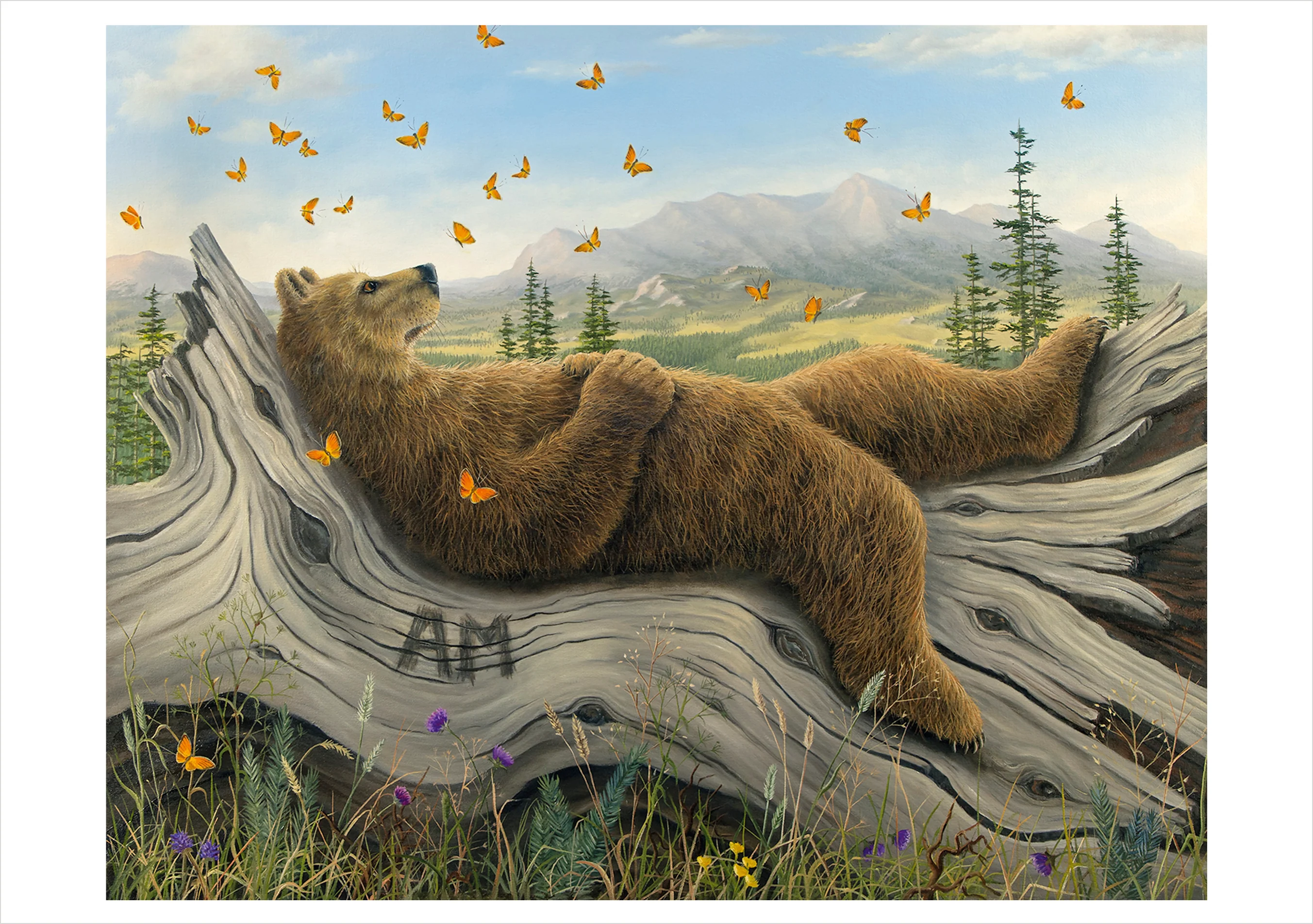 Robert Bissell: Spirit Boxed Notecard Assortment