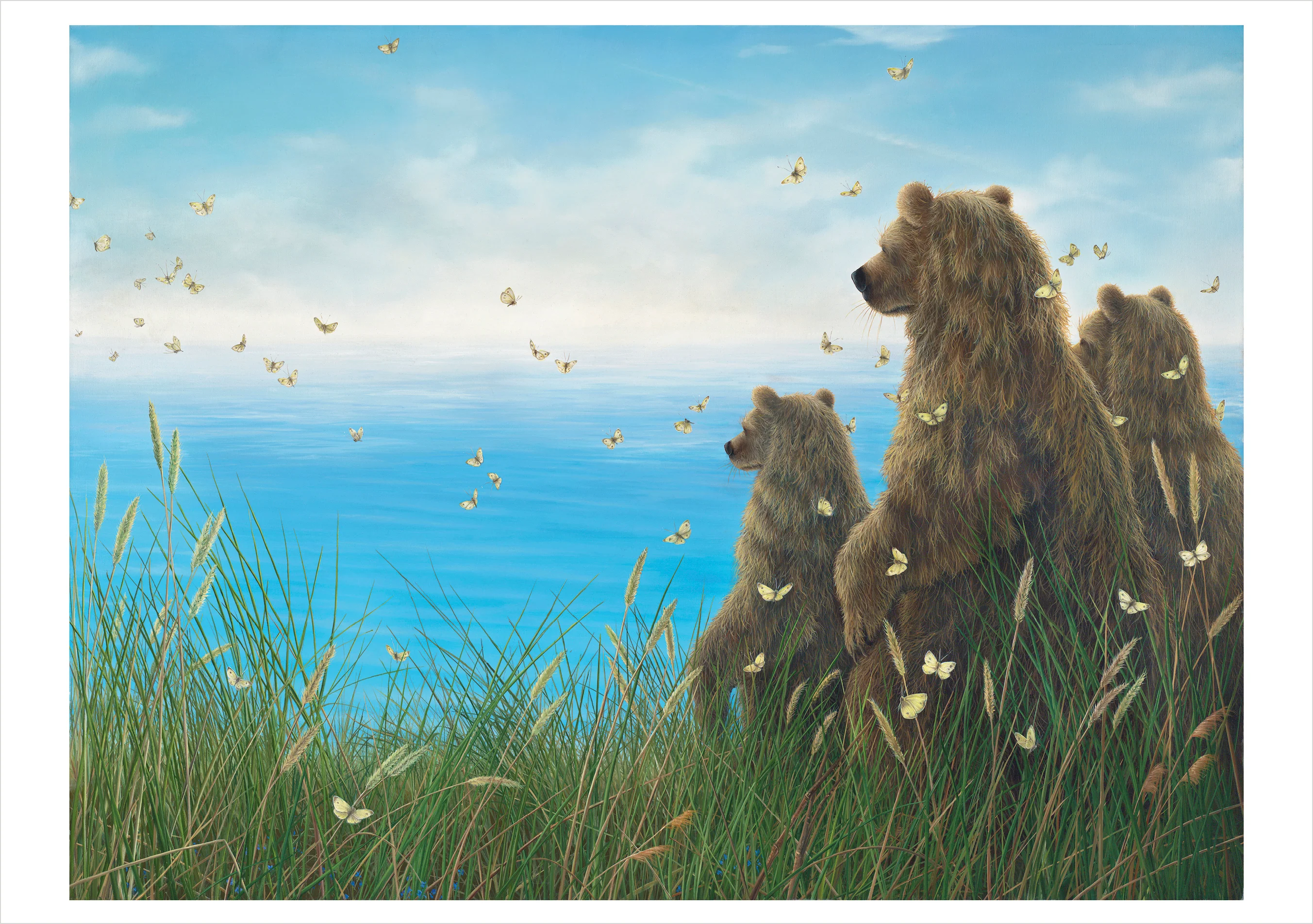 Robert Bissell: Spirit Boxed Notecard Assortment