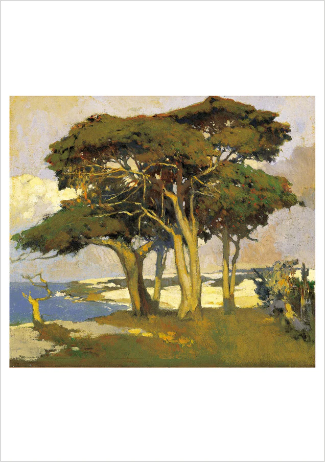 Arthur F. Mathews: Cypresses Boxed Notecard Assortment