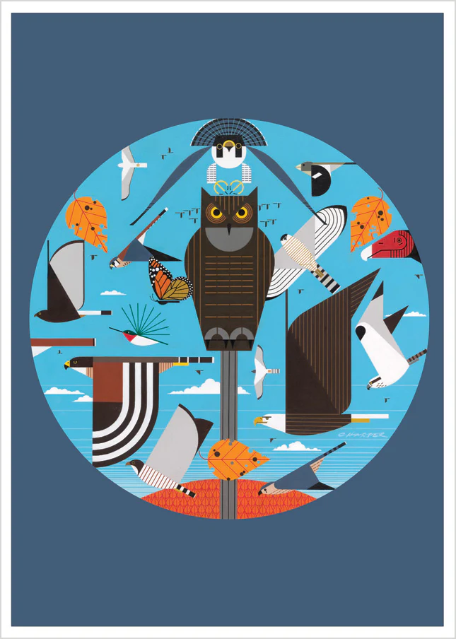 Charley Harper: Wings Notecard Folio 3 Charley Harper: Wings Notecard Folio