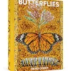 David Cohen: Butterflies Boxed Notecard Assortment