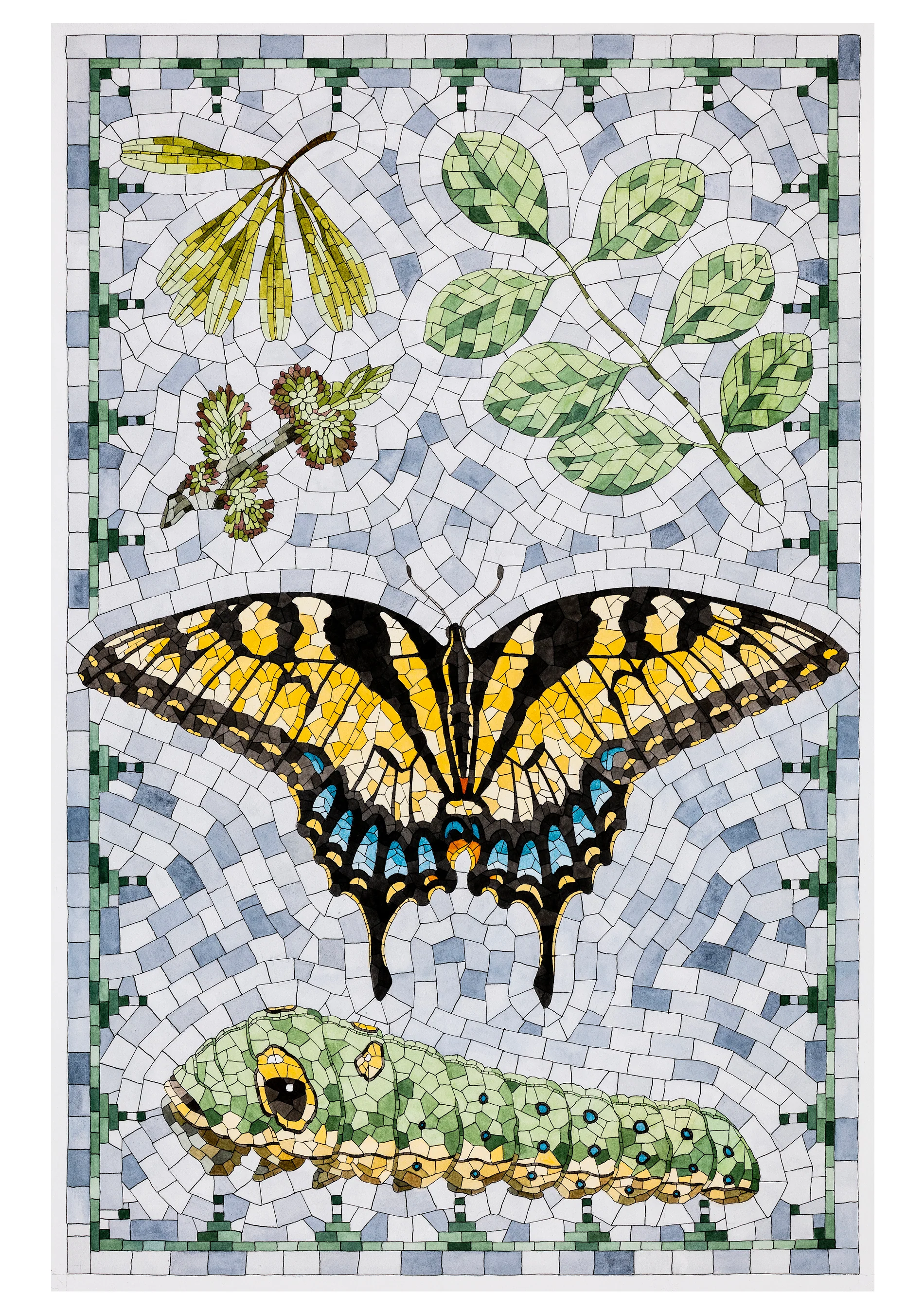 David Cohen: Butterflies Boxed Notecard Assortment