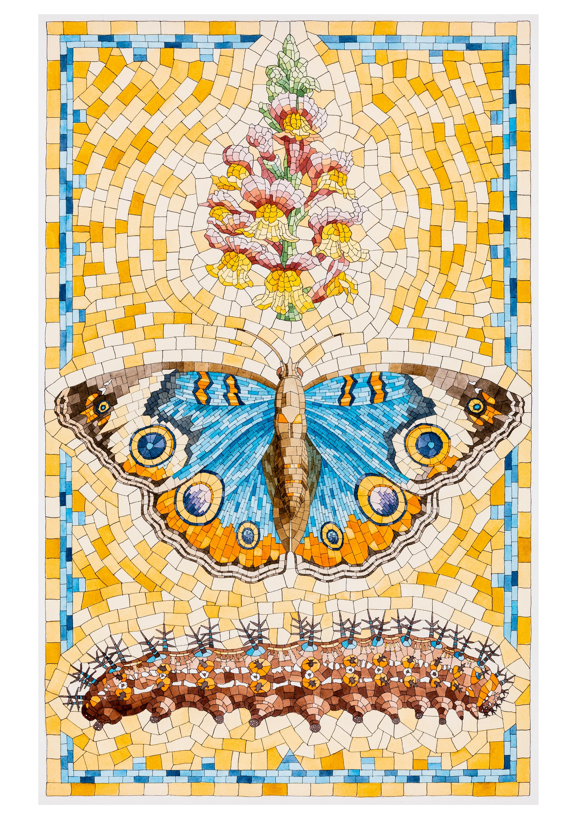 David Cohen: Butterflies Boxed Notecard Assortment