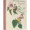 John James Audubon: Songbirds Boxed Notecard Assortment