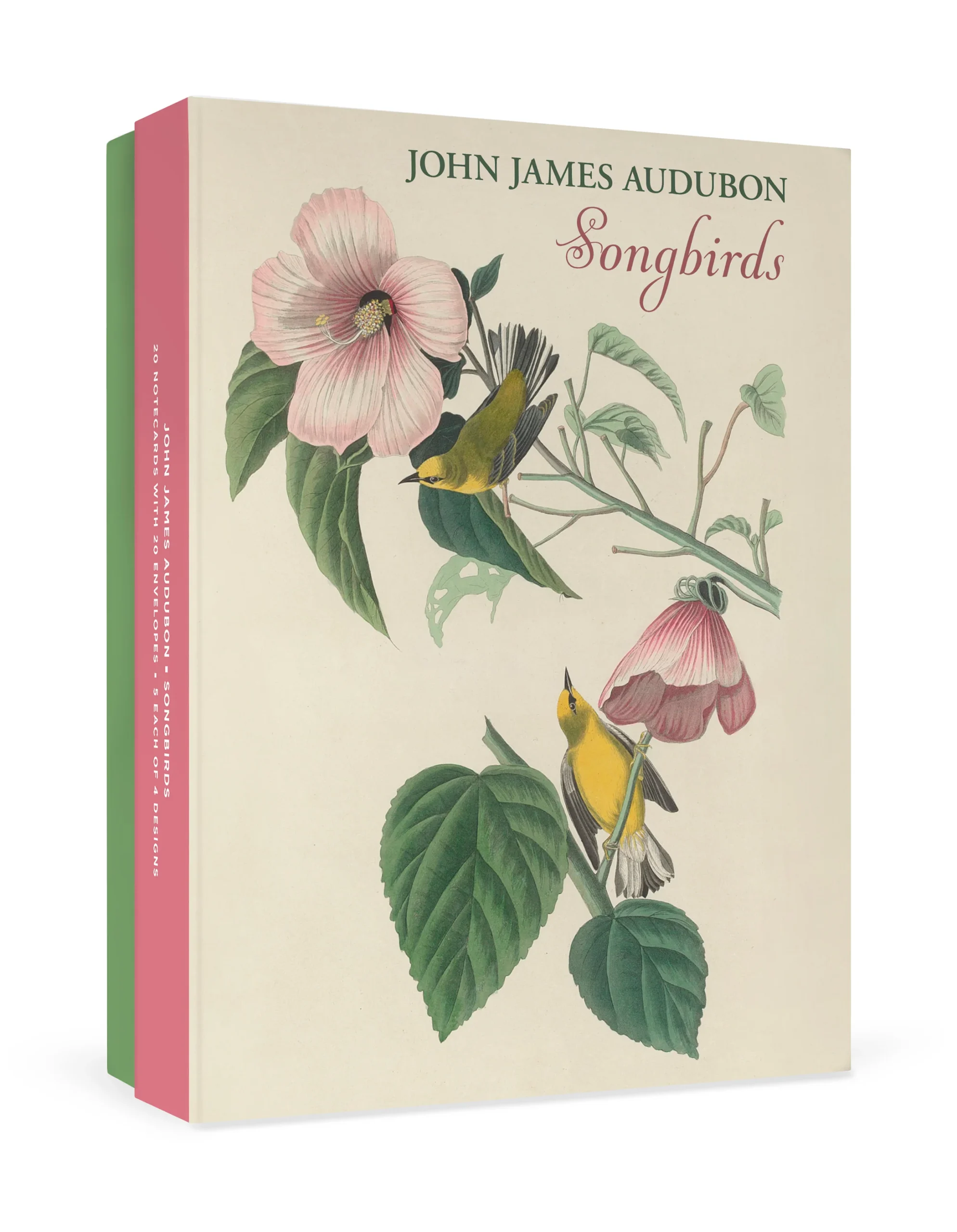 John James Audubon: Songbirds Boxed Notecard Assortment