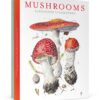 Mushrooms: Alexander Viazmensky Boxed Notecard Assortment