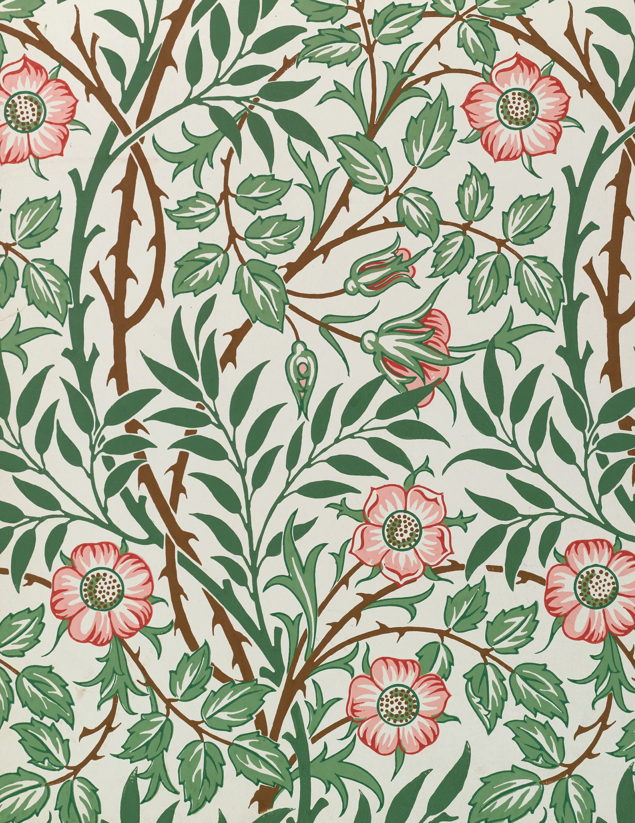 William Morris Keepsake Boxed Notecards