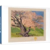 Gustave Baumann: The Bishop’s Apricot Small Boxed Cards
