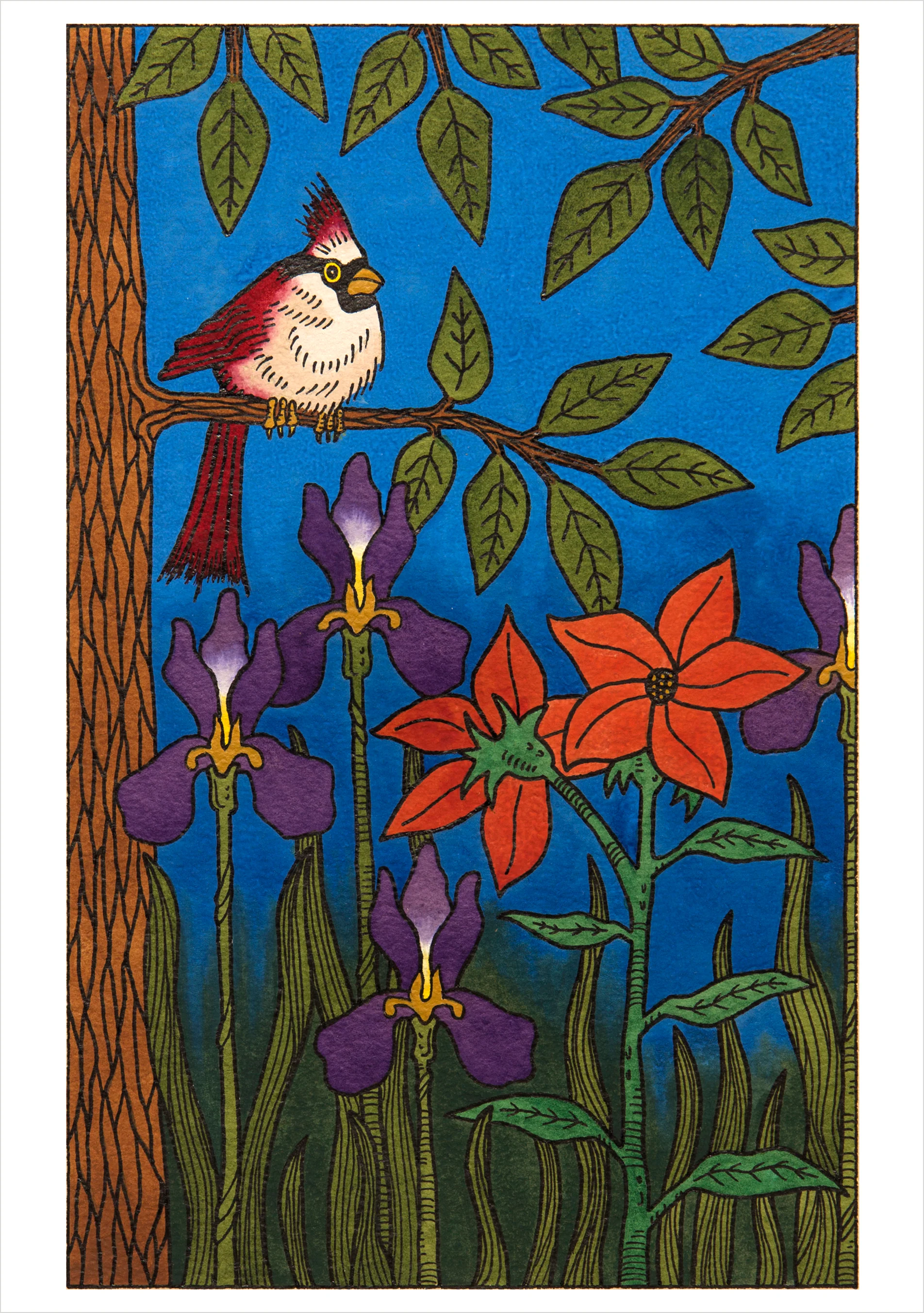 CJ Hurley: Birds Boxed Notecard Assortment 4 CJ Hurley: Birds Boxed Notecard Assortment