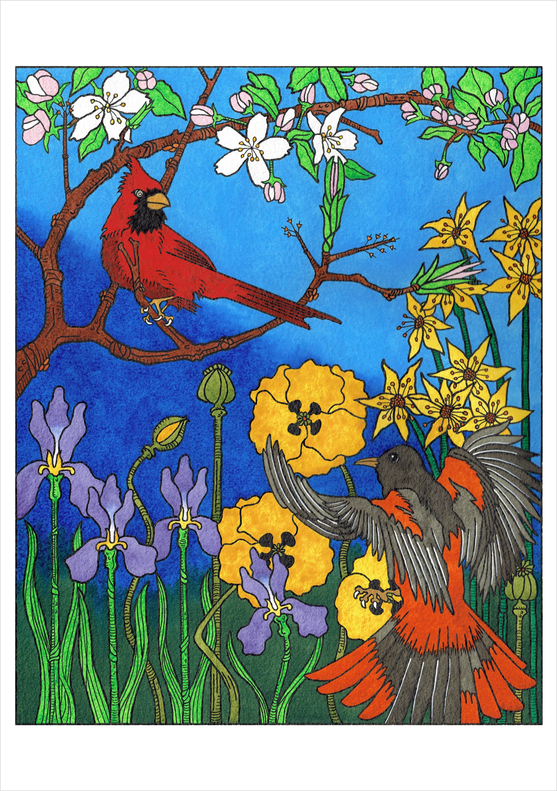CJ Hurley: Birds Boxed Notecard Assortment 5 CJ Hurley: Birds Boxed Notecard Assortment