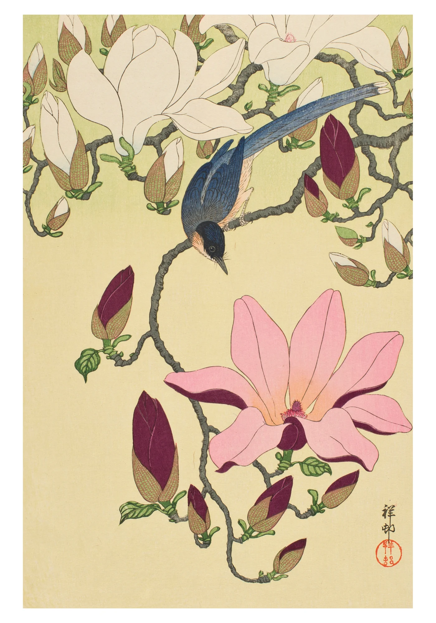 Ohara Shōson: Magnolia and Magpie Small Boxed Cards 2 Ohara Shōson: Magnolia and Magpie Small Boxed Cards